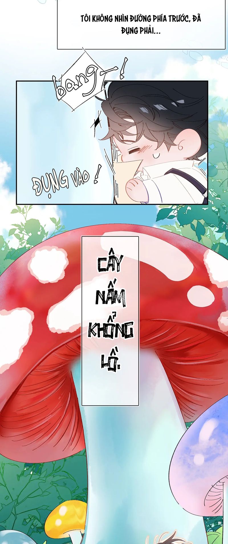 Cây Nấm Nhỏ Phiên Ngoại 1 - Next Văn Án