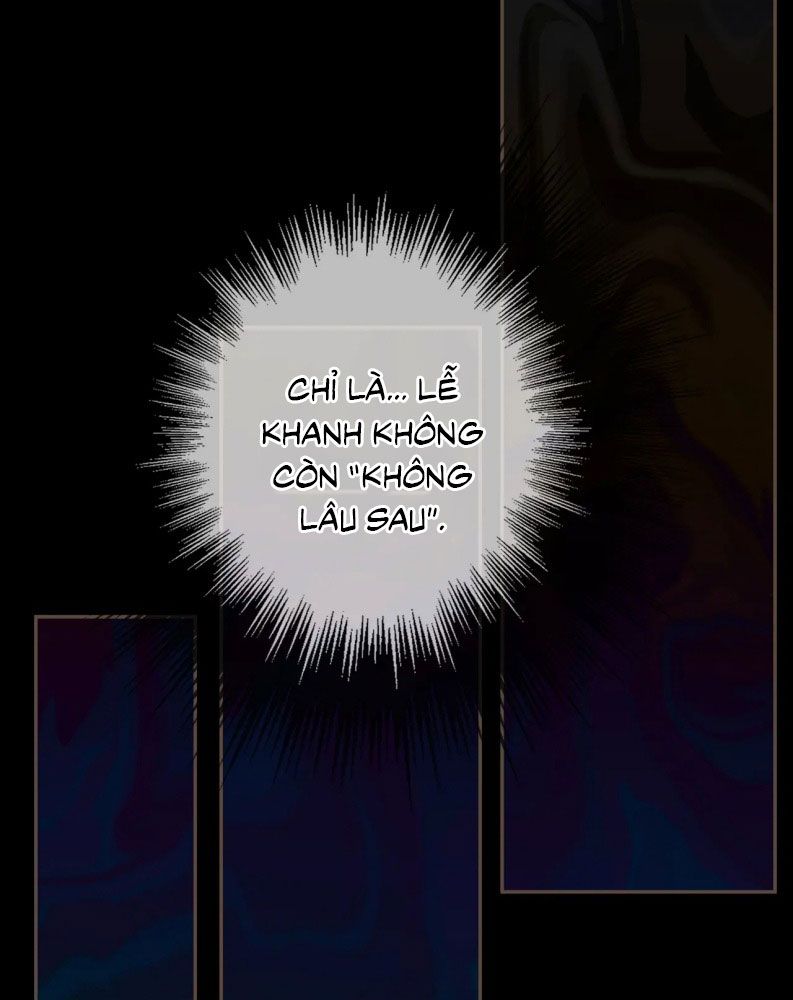 Á Nô 2: Thám Hoa Chap 47 - Trang 3