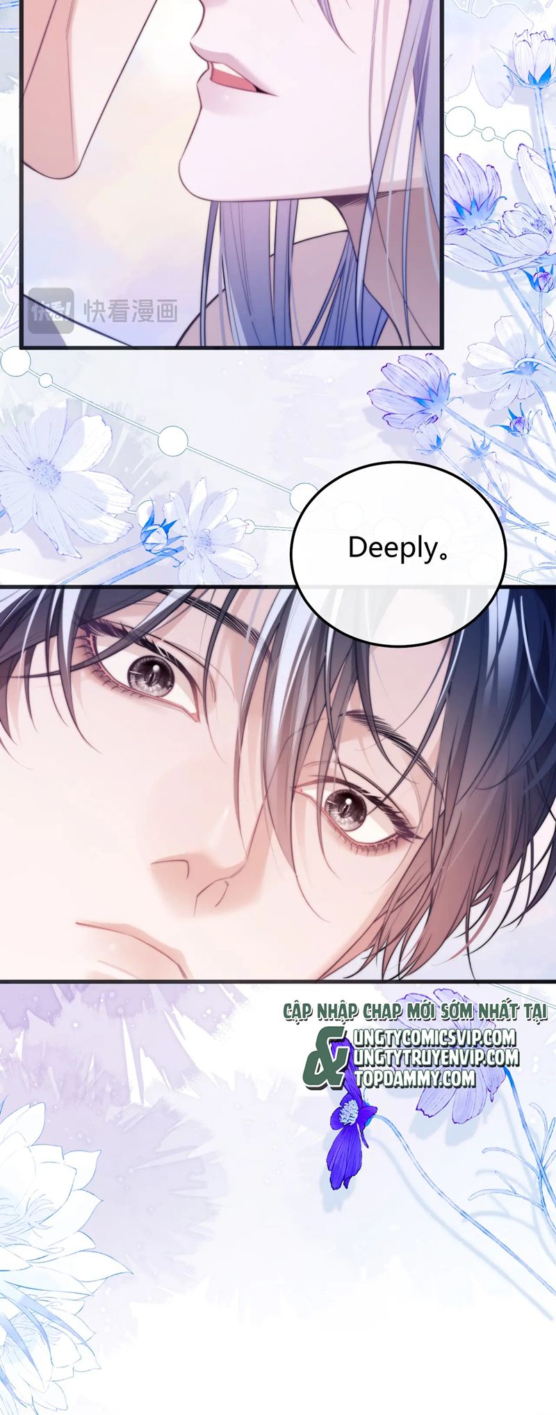 Desharow Nhân Ngư Chapter 52 - Trang 4