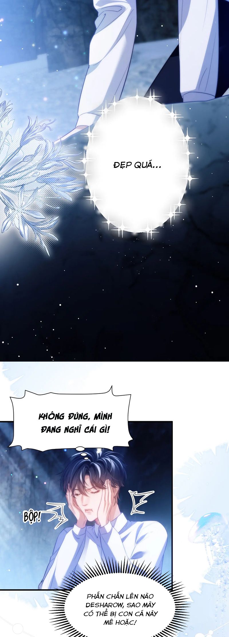 Desharow Nhân Ngư Chapter 56 - Trang 4