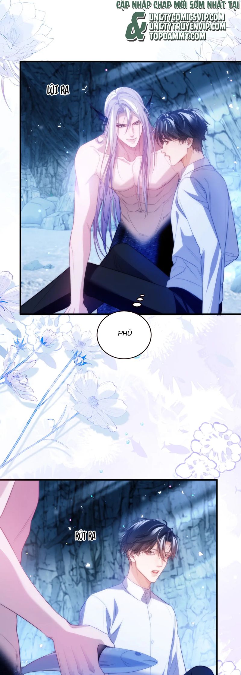 Desharow Nhân Ngư Chapter 57 - Trang 4