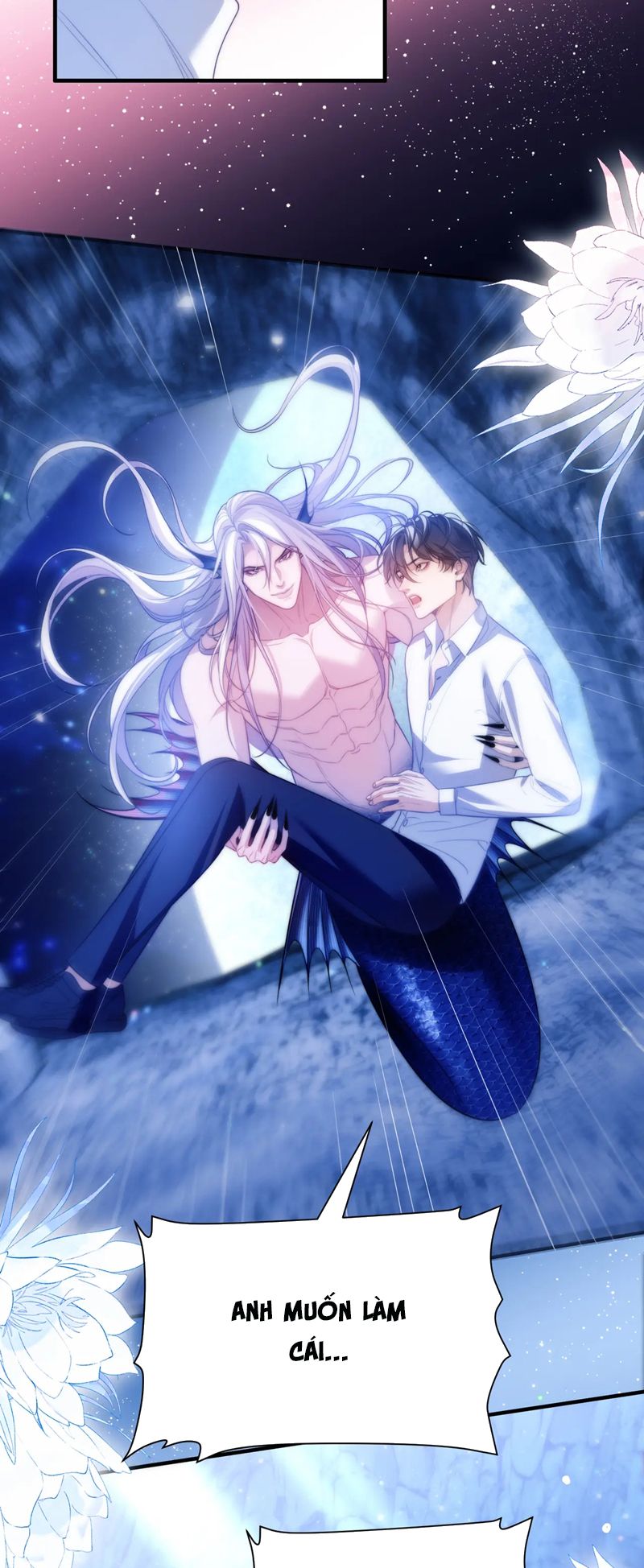 Desharow Nhân Ngư Chapter 58 - Trang 4