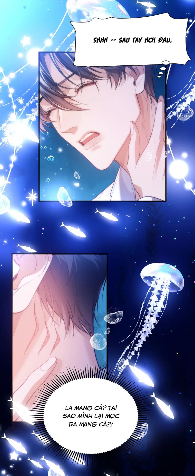Desharow Nhân Ngư Chapter 58 - Trang 4