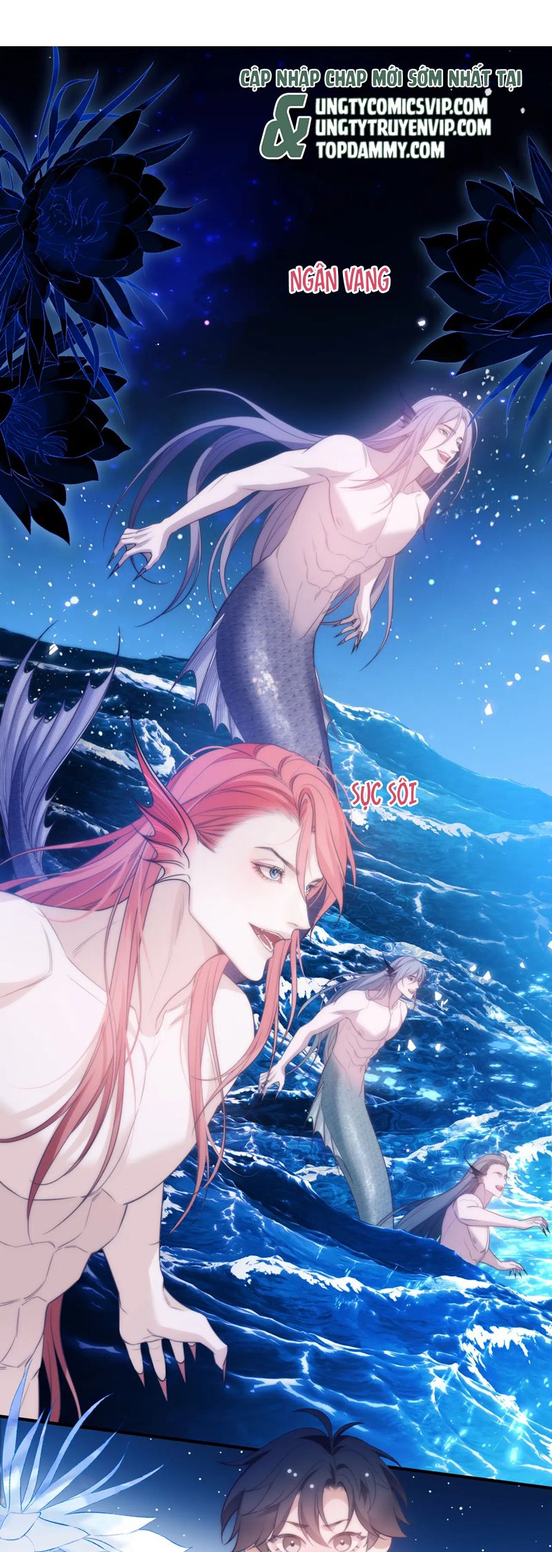 Desharow Nhân Ngư Chapter 58 - Trang 4