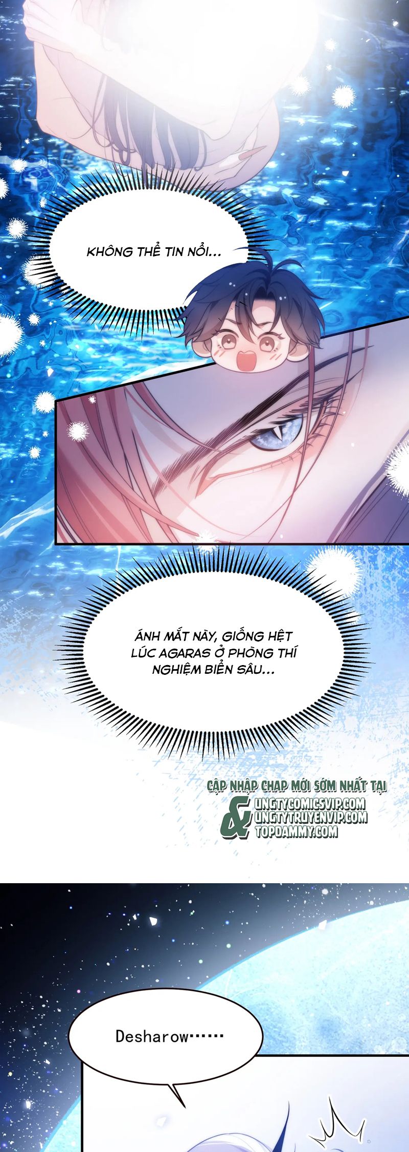 Desharow Nhân Ngư Chapter 58 - Trang 4