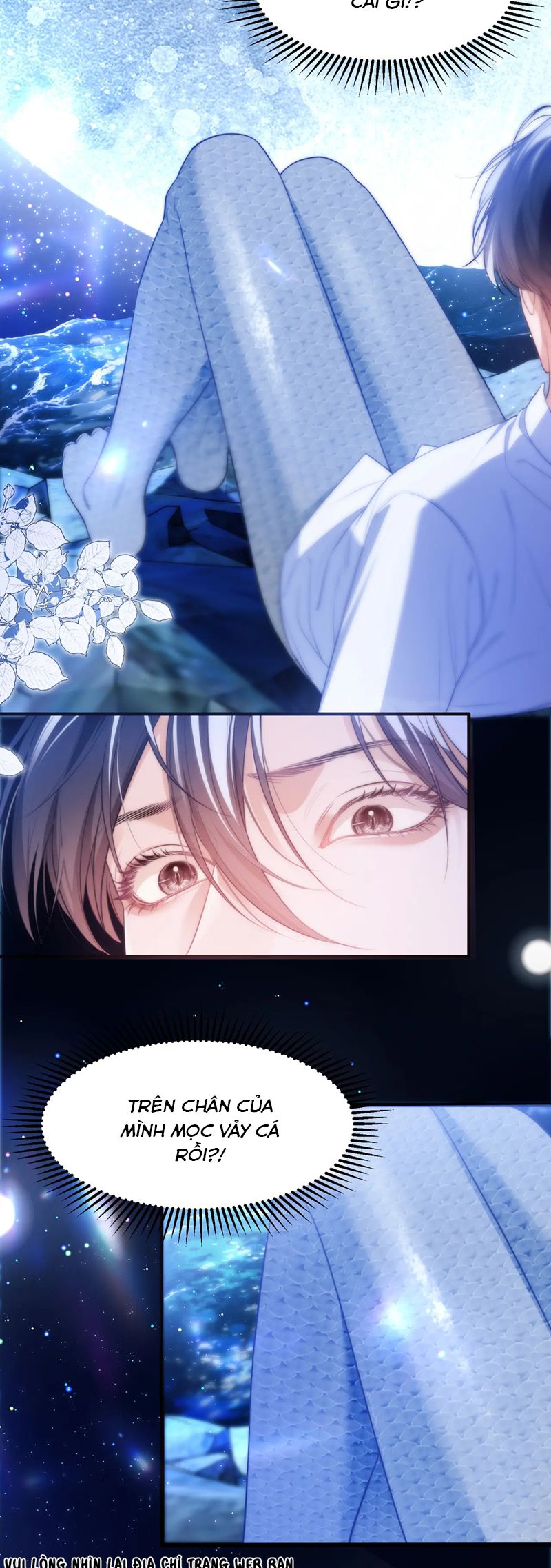 Desharow Nhân Ngư Chapter 59 - Trang 4