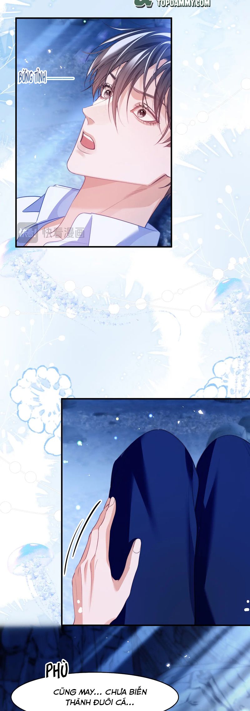 Desharow Nhân Ngư Chapter 60 - Trang 4