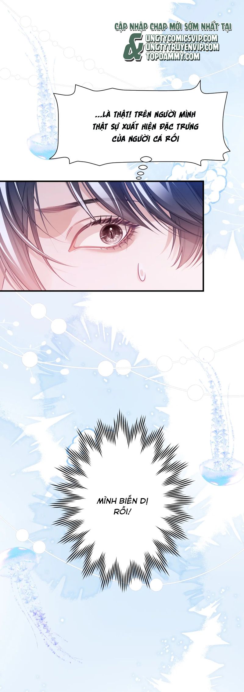 Desharow Nhân Ngư Chapter 60 - Trang 4