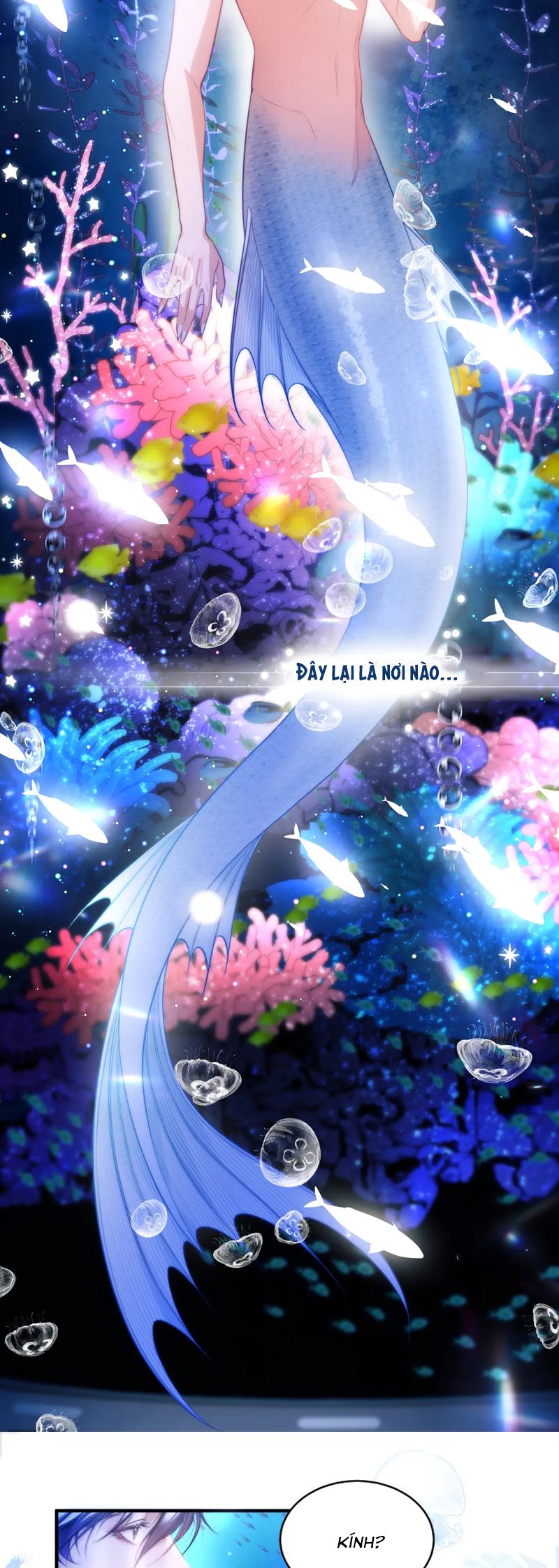 Desharow Nhân Ngư Chapter 60 - Trang 4