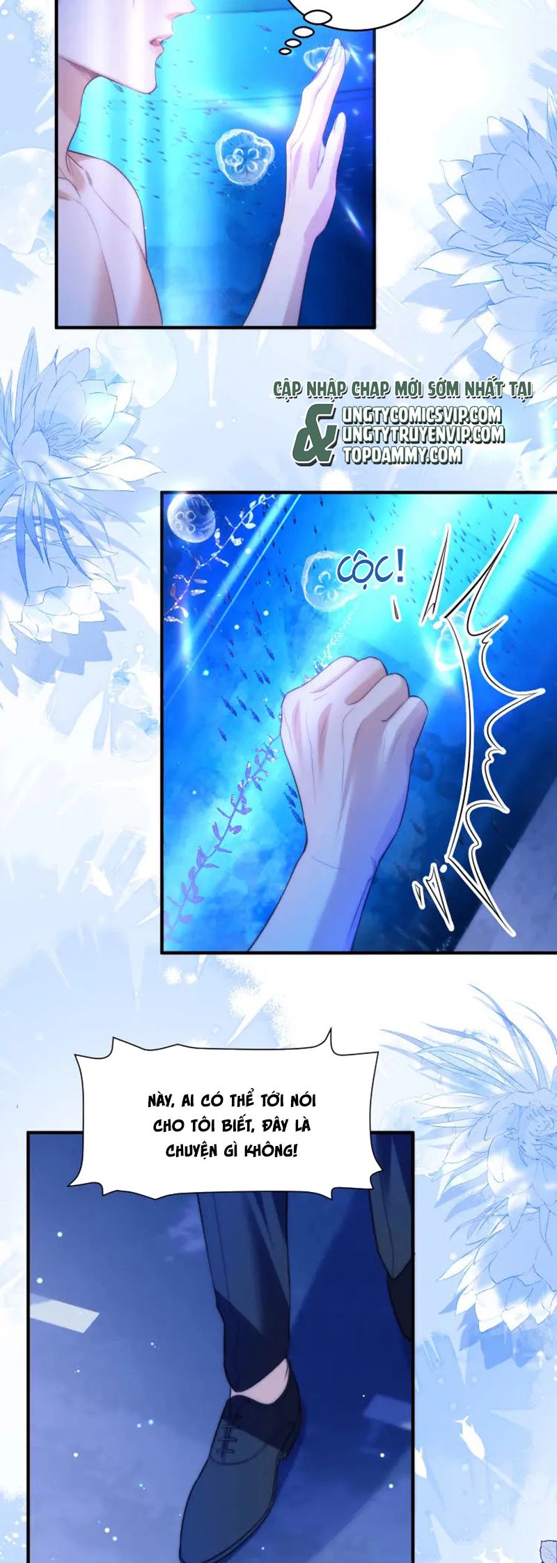 Desharow Nhân Ngư Chapter 60 - Trang 4