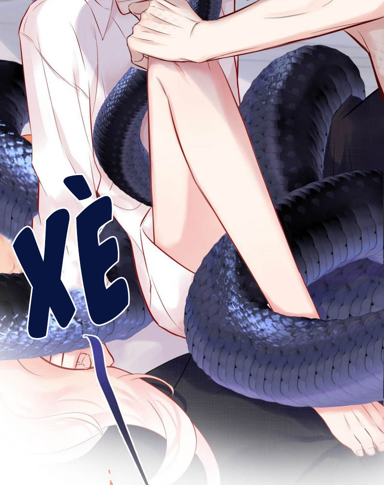 Công Lược Đối Tượng! Hình Tượng Của Cậu Sập Rồi! Chapter 4 - Trang 4