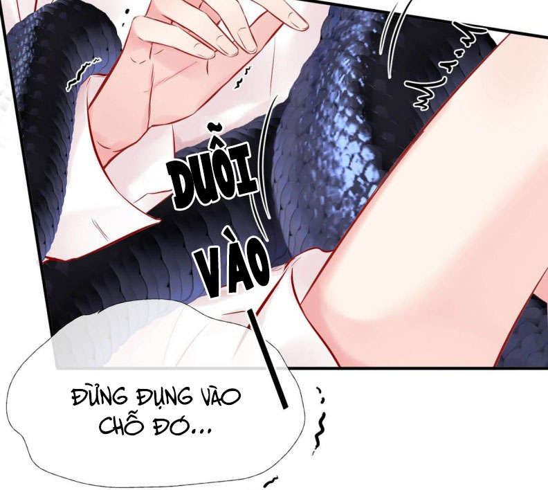 Công Lược Đối Tượng! Hình Tượng Của Cậu Sập Rồi! Chapter 4 - Trang 4