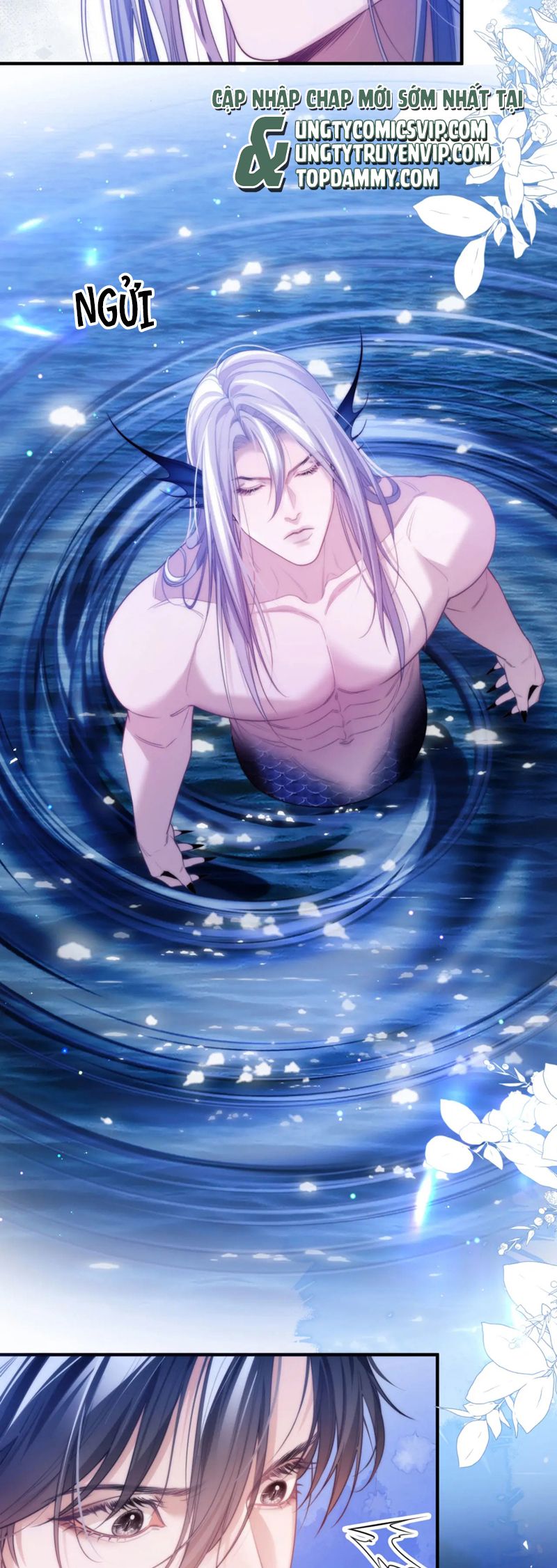 Desharow Nhân Ngư Chapter 61 - Trang 4