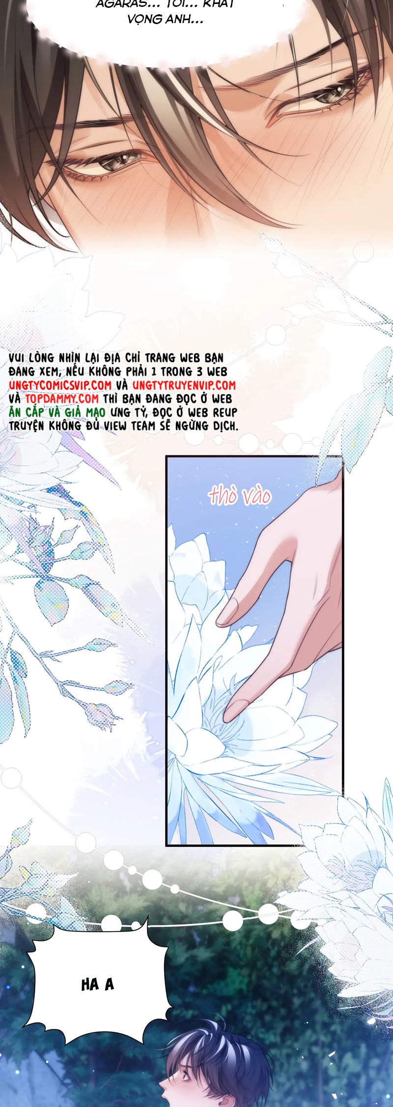 Desharow Nhân Ngư Chapter 62 - Trang 4