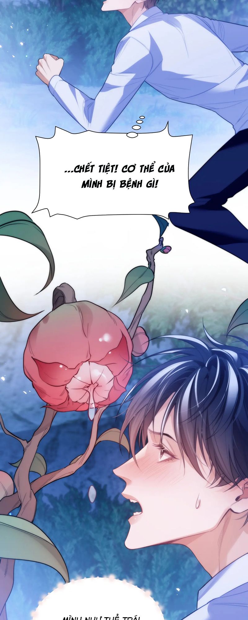 Desharow Nhân Ngư Chapter 62 - Trang 4