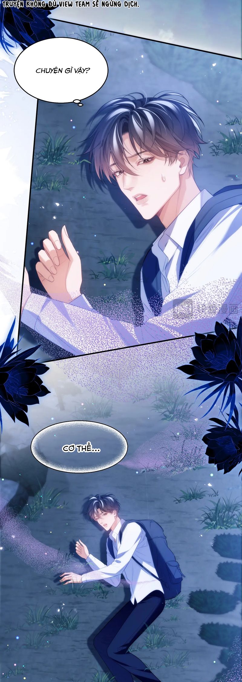 Desharow Nhân Ngư Chapter 62 - Trang 4