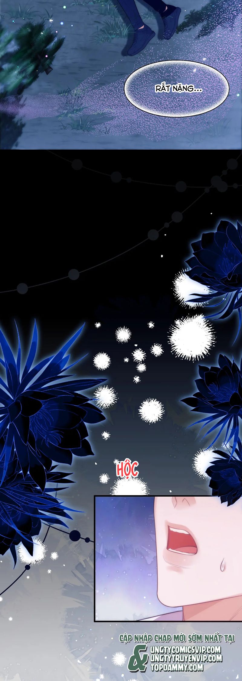 Desharow Nhân Ngư Chapter 62 - Trang 4