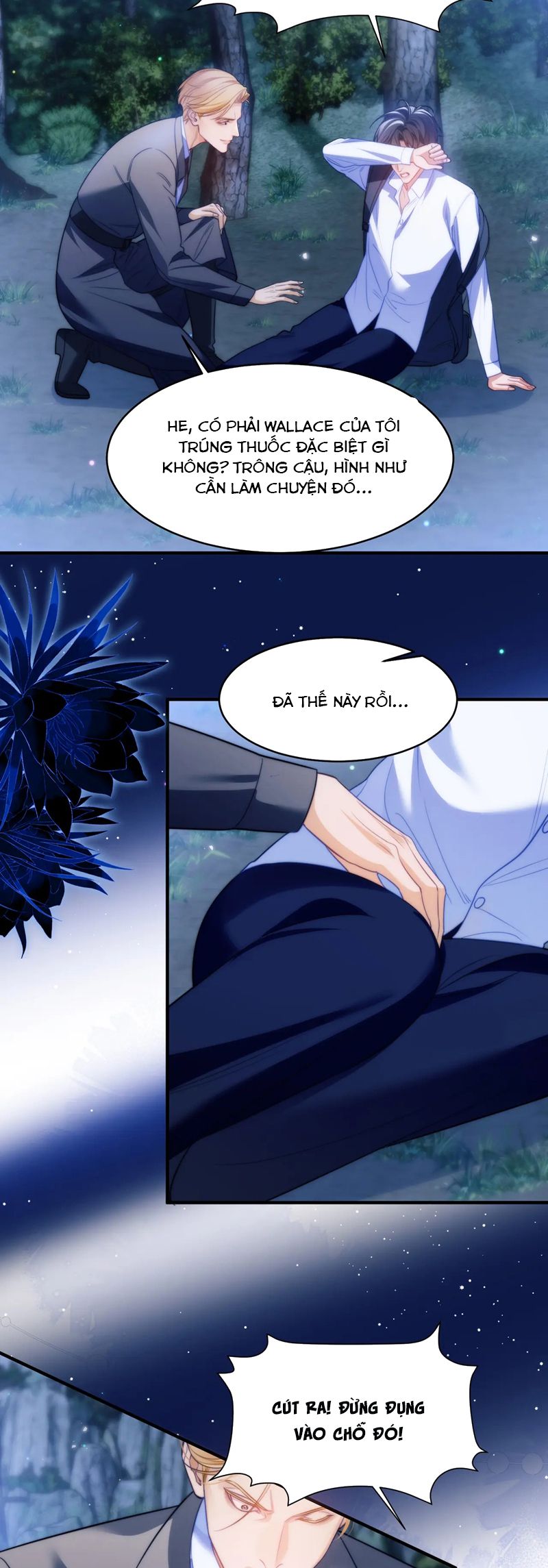 Desharow Nhân Ngư Chapter 63 - Trang 4