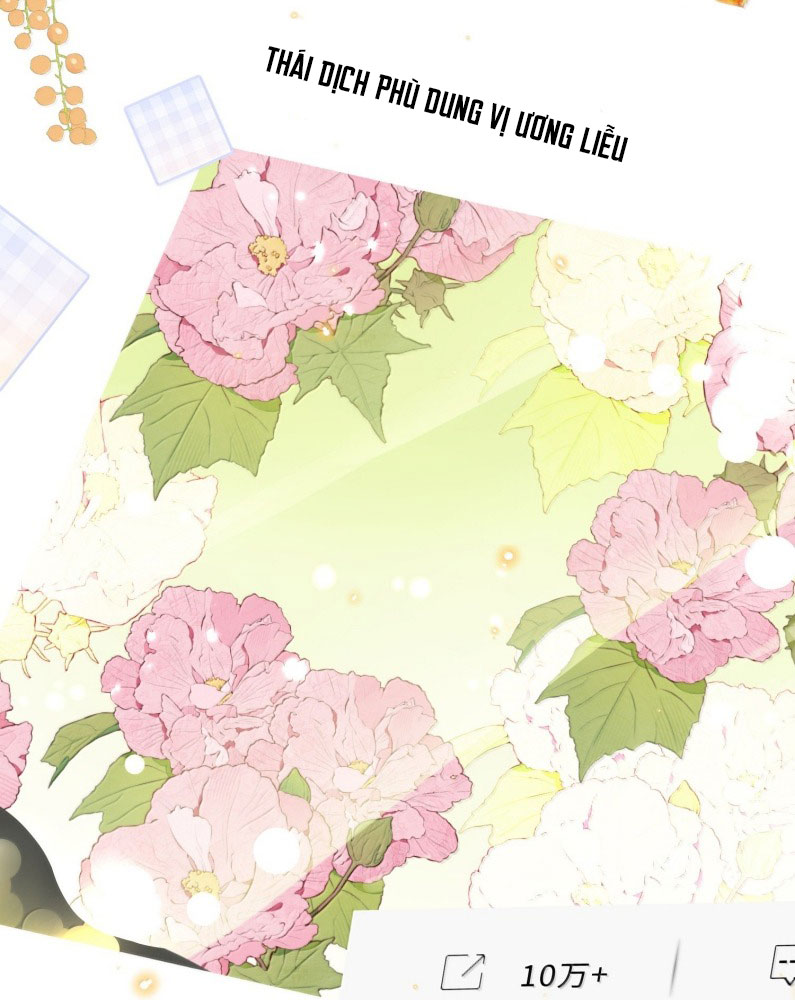 Tổng Tài Định Chế Tư Nhân Chap 110 - Trang 4