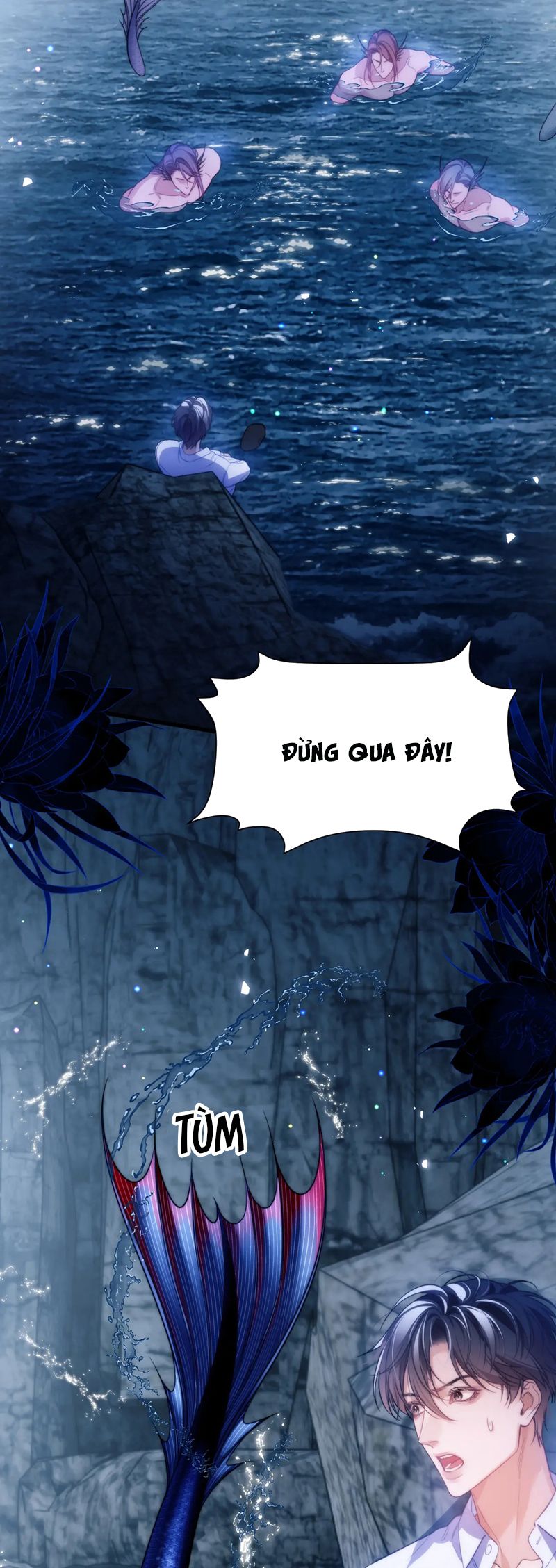 Desharow Nhân Ngư Chapter 64 - Trang 4