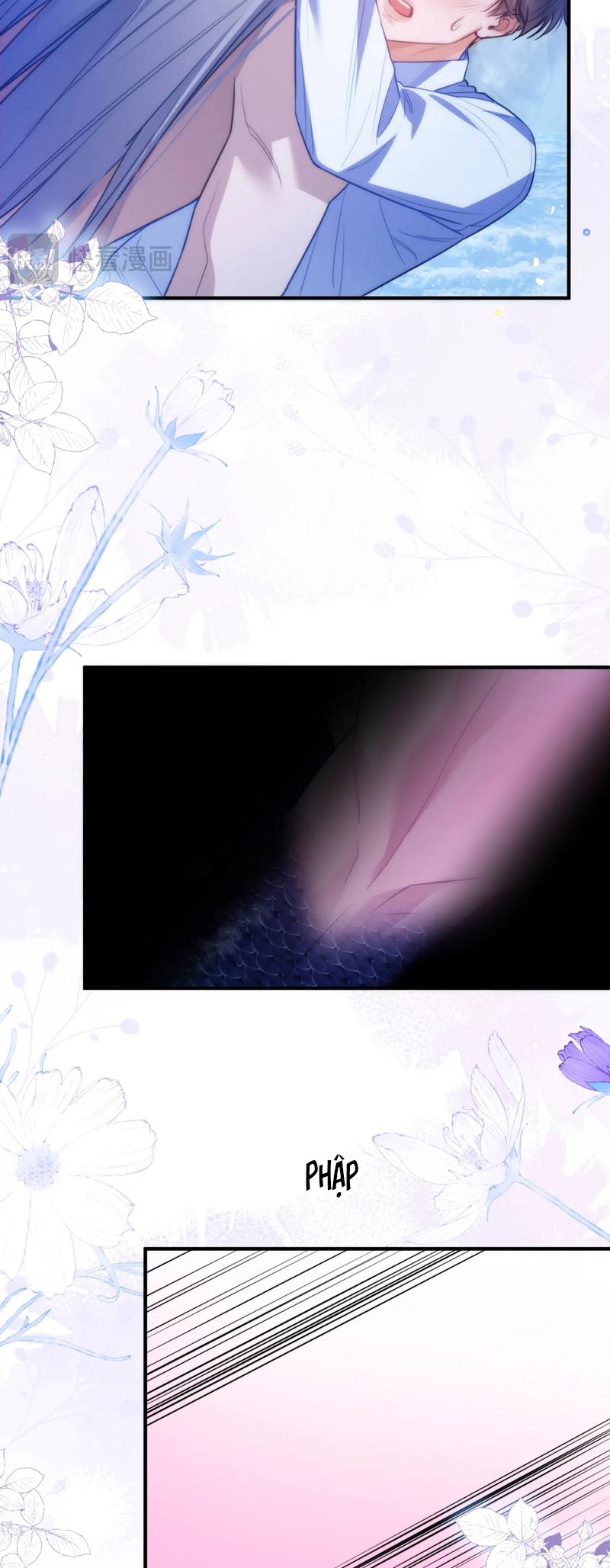 Desharow Nhân Ngư Chapter 65 - Trang 4