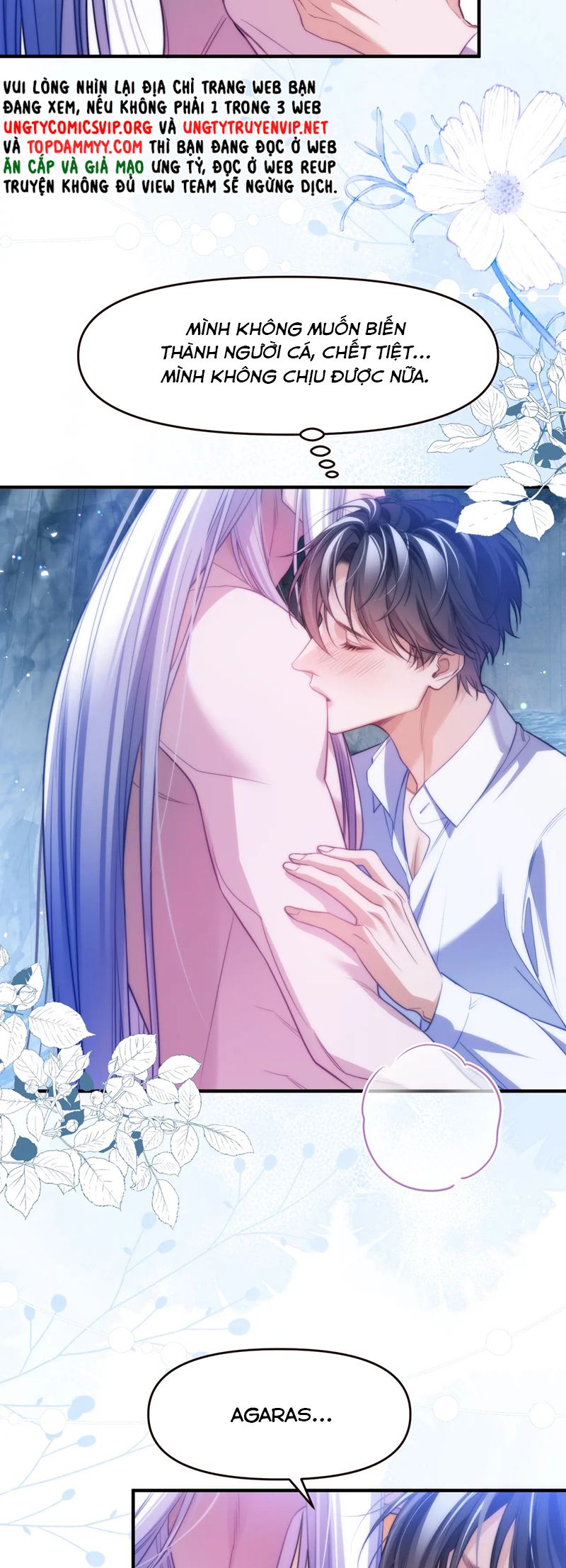 Desharow Nhân Ngư Chapter 65 - Trang 4