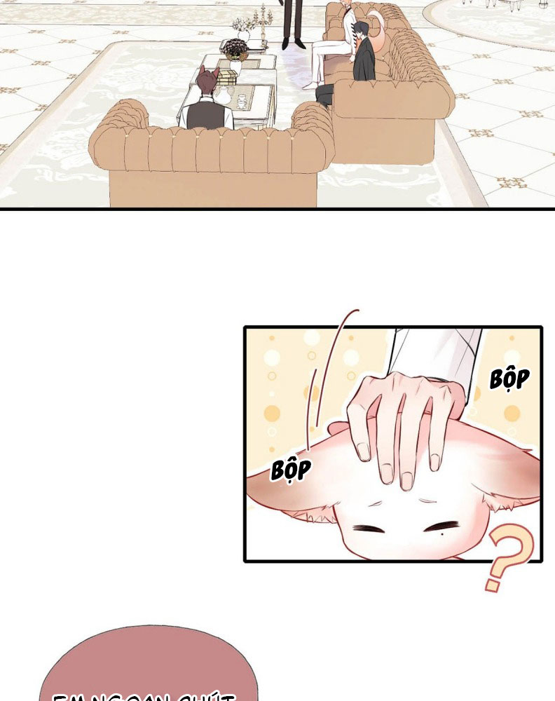 Công Lược Đối Tượng! Hình Tượng Của Cậu Sập Rồi! Chapter 11 - Trang 4