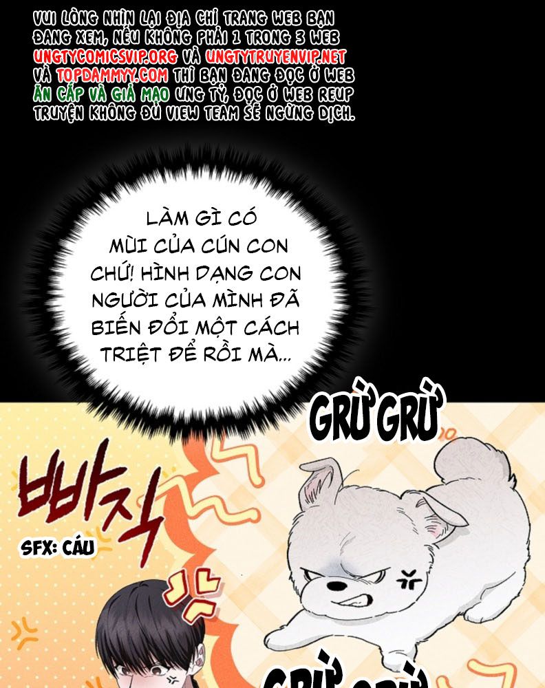 ĐỪNG CHẠM VÀO CÚN CON CỦA TÔI Chap 1 - Trang 4