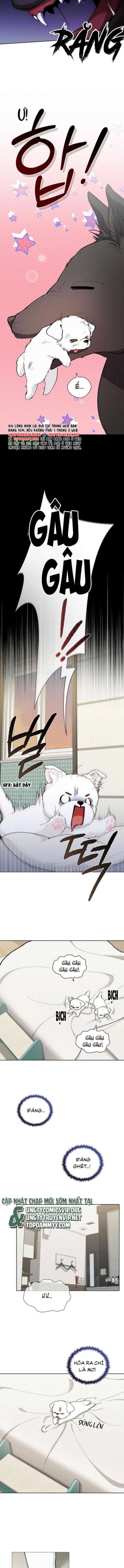 ĐỪNG CHẠM VÀO CÚN CON CỦA TÔI Chap 1 - Trang 4