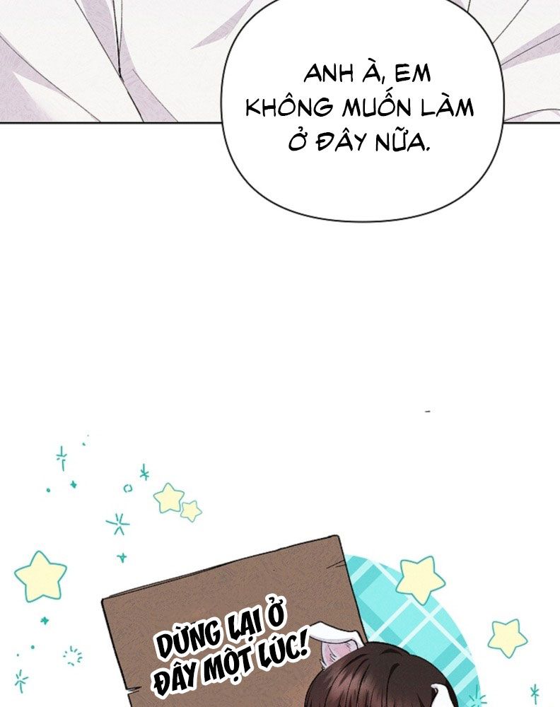 ĐỪNG CHẠM VÀO CÚN CON CỦA TÔI Chap 1 - Trang 4