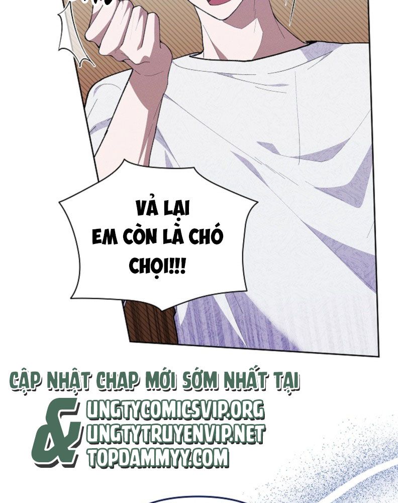 ĐỪNG CHẠM VÀO CÚN CON CỦA TÔI Chap 1 - Trang 4
