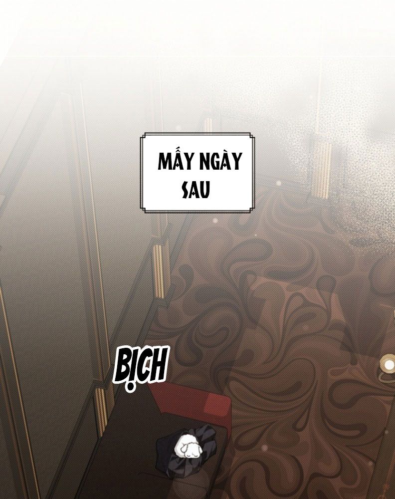 ĐỪNG CHẠM VÀO CÚN CON CỦA TÔI Chap 1 - Trang 4