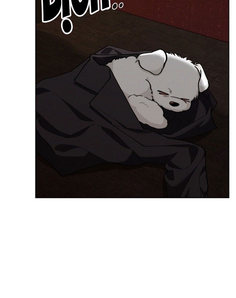 ĐỪNG CHẠM VÀO CÚN CON CỦA TÔI Chap 1 - Trang 4