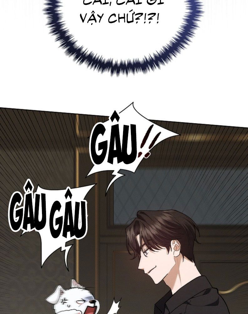 ĐỪNG CHẠM VÀO CÚN CON CỦA TÔI Chap 1 - Trang 4