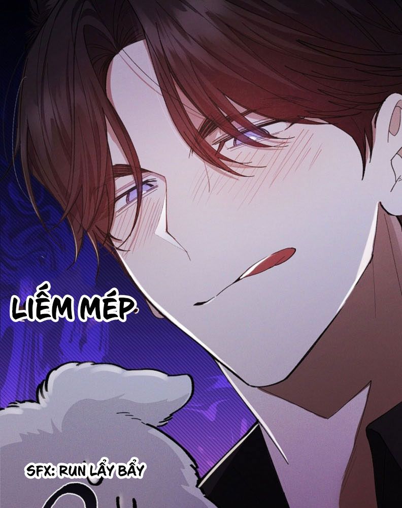 ĐỪNG CHẠM VÀO CÚN CON CỦA TÔI Chap 1 - Trang 4