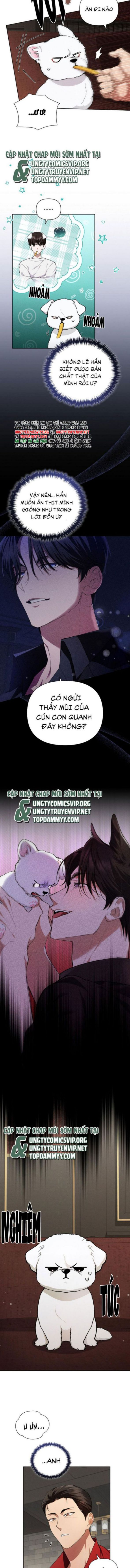 ĐỪNG CHẠM VÀO CÚN CON CỦA TÔI Chap 2 - Trang 4