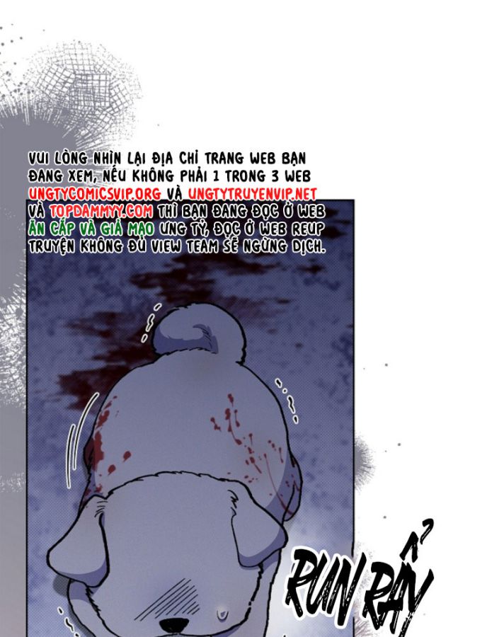 ĐỪNG CHẠM VÀO CÚN CON CỦA TÔI Chap 3 - Trang 4