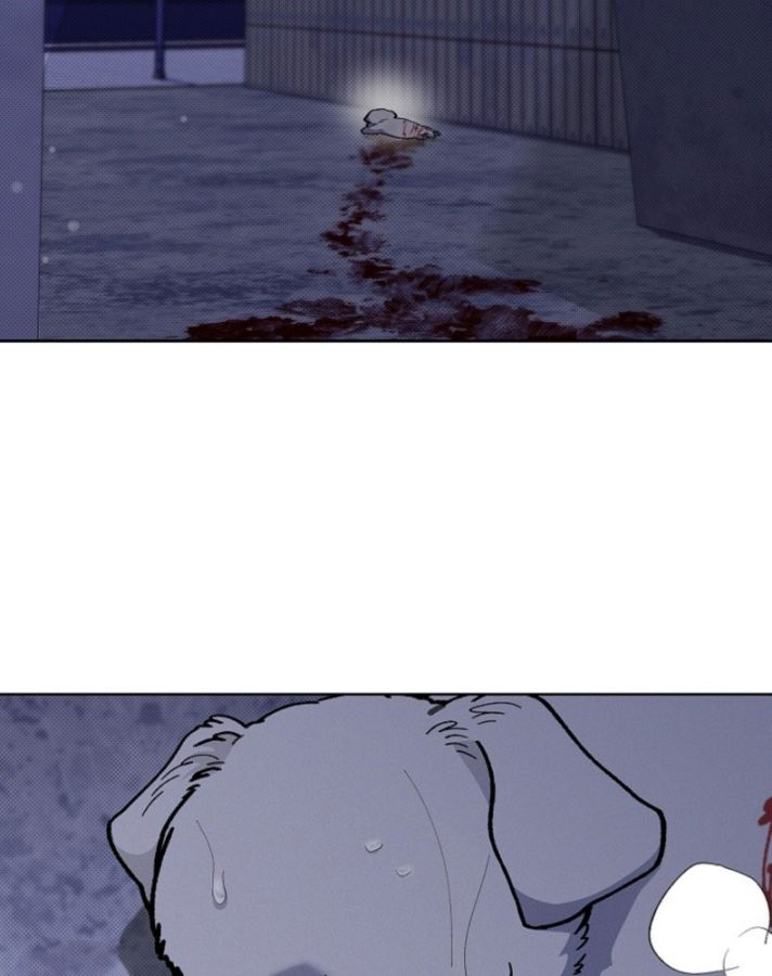 ĐỪNG CHẠM VÀO CÚN CON CỦA TÔI Chap 3 - Trang 4