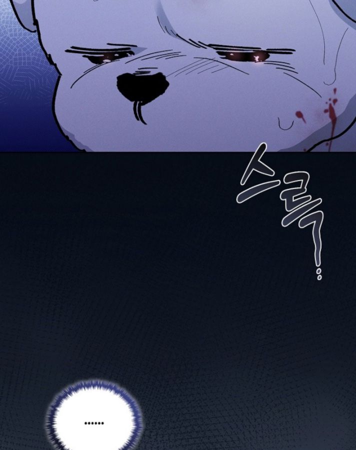 ĐỪNG CHẠM VÀO CÚN CON CỦA TÔI Chap 3 - Trang 4