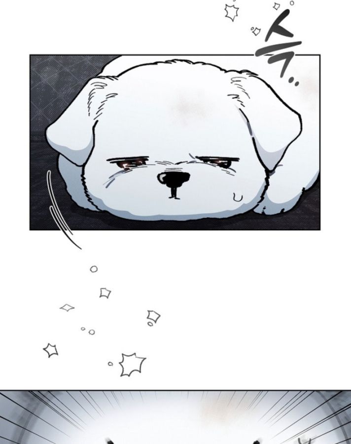 ĐỪNG CHẠM VÀO CÚN CON CỦA TÔI Chap 3 - Trang 4