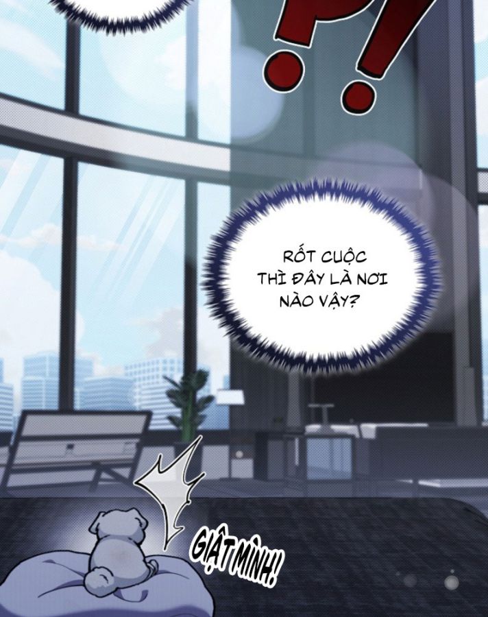 ĐỪNG CHẠM VÀO CÚN CON CỦA TÔI Chap 3 - Trang 4