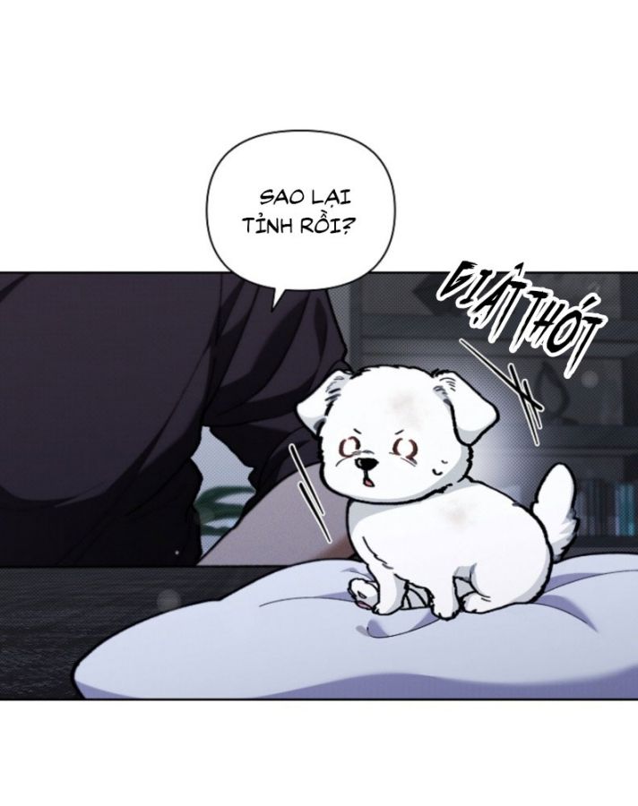 ĐỪNG CHẠM VÀO CÚN CON CỦA TÔI Chap 3 - Trang 4