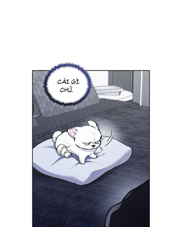 ĐỪNG CHẠM VÀO CÚN CON CỦA TÔI Chap 3 - Trang 4