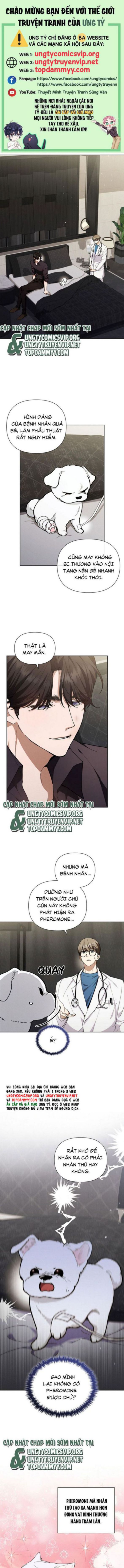 ĐỪNG CHẠM VÀO CÚN CON CỦA TÔI Chap 4 - Trang 4