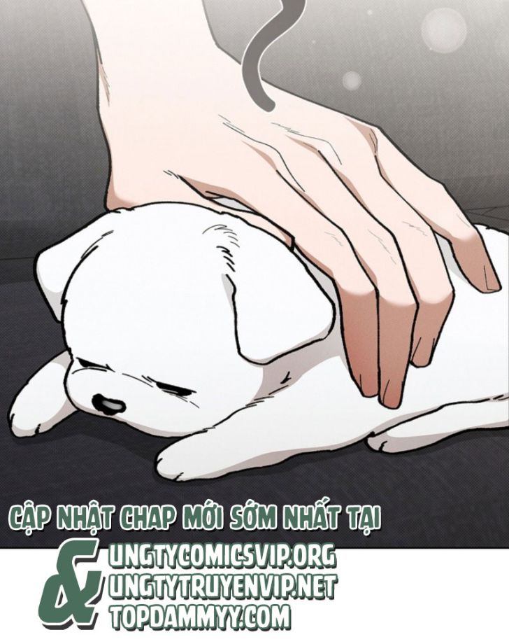 ĐỪNG CHẠM VÀO CÚN CON CỦA TÔI Chap 4 - Trang 4