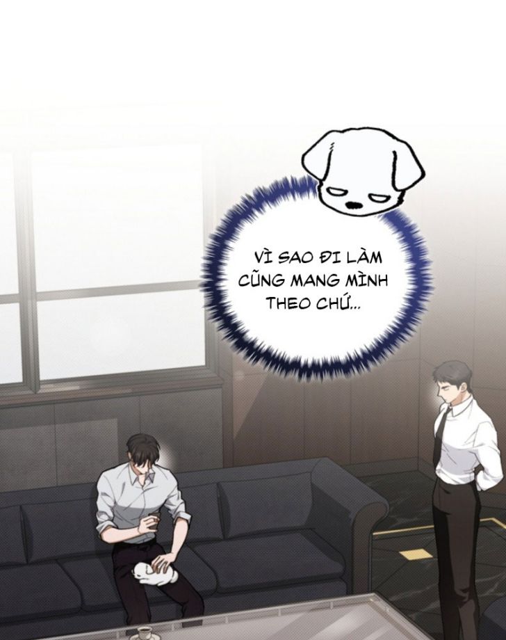 ĐỪNG CHẠM VÀO CÚN CON CỦA TÔI Chap 4 - Trang 4