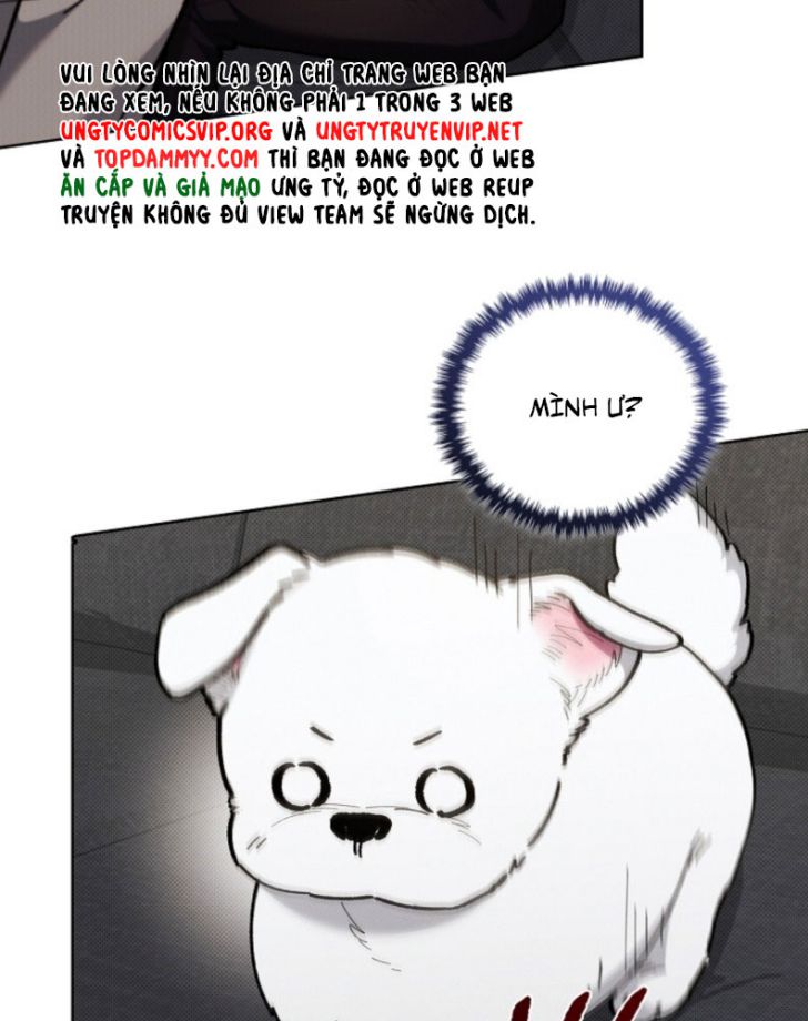 ĐỪNG CHẠM VÀO CÚN CON CỦA TÔI Chap 4 - Trang 4