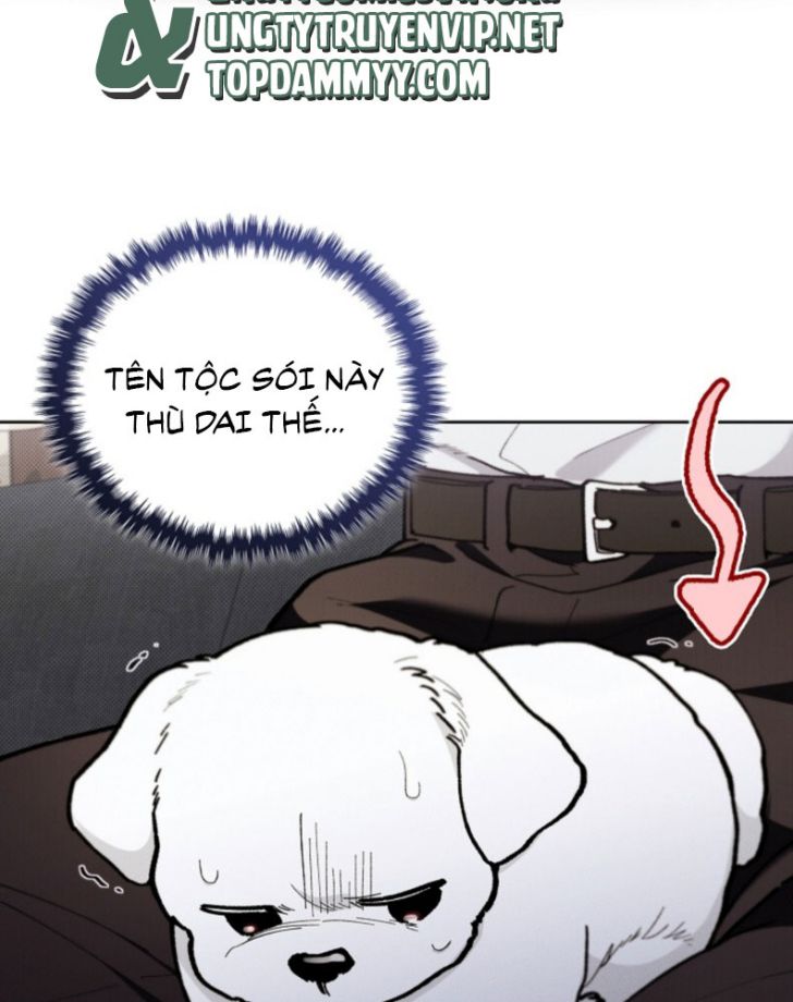 ĐỪNG CHẠM VÀO CÚN CON CỦA TÔI Chap 4 - Trang 4