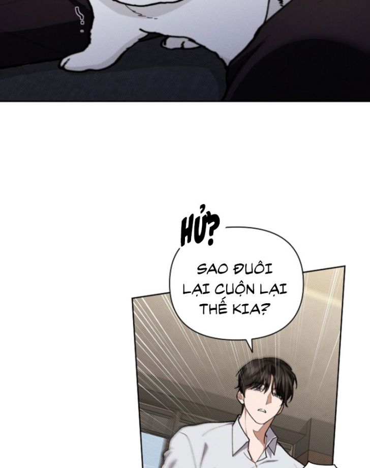 ĐỪNG CHẠM VÀO CÚN CON CỦA TÔI Chap 4 - Trang 4