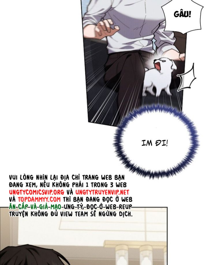 ĐỪNG CHẠM VÀO CÚN CON CỦA TÔI Chap 4 - Trang 4
